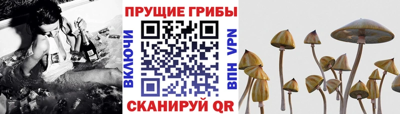 Псилоцибиновые грибы прущие грибы  цена наркотик  Бронницы 
